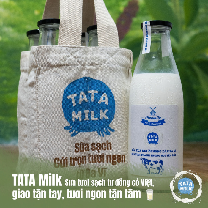 Sữa tươi thanh trùng